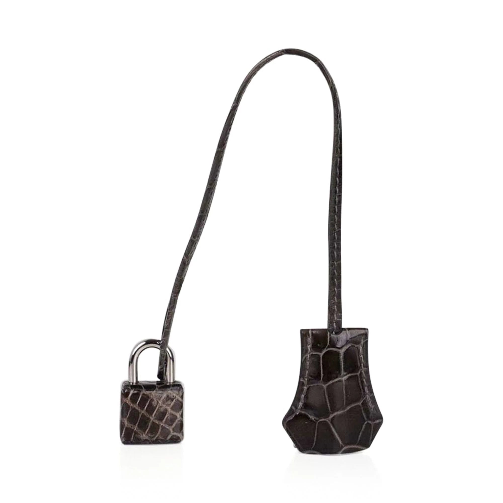 Special Order HSS Birkin 35 Bag Gris Fonce Porosus Crocodile with Palladium Hardware