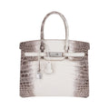 Birkin 30 Bag Diamond Himalaya Blanc Matte Niloticus Crocodile with 18k White Gold Hardware