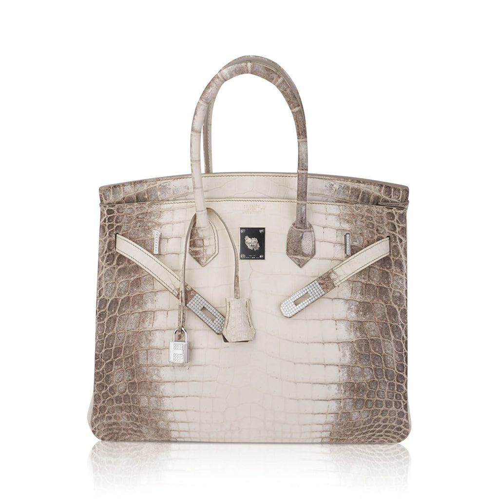 Birkin 35 Diamond Blanc Himalaya Matte Crocodile Limited Edition Bag