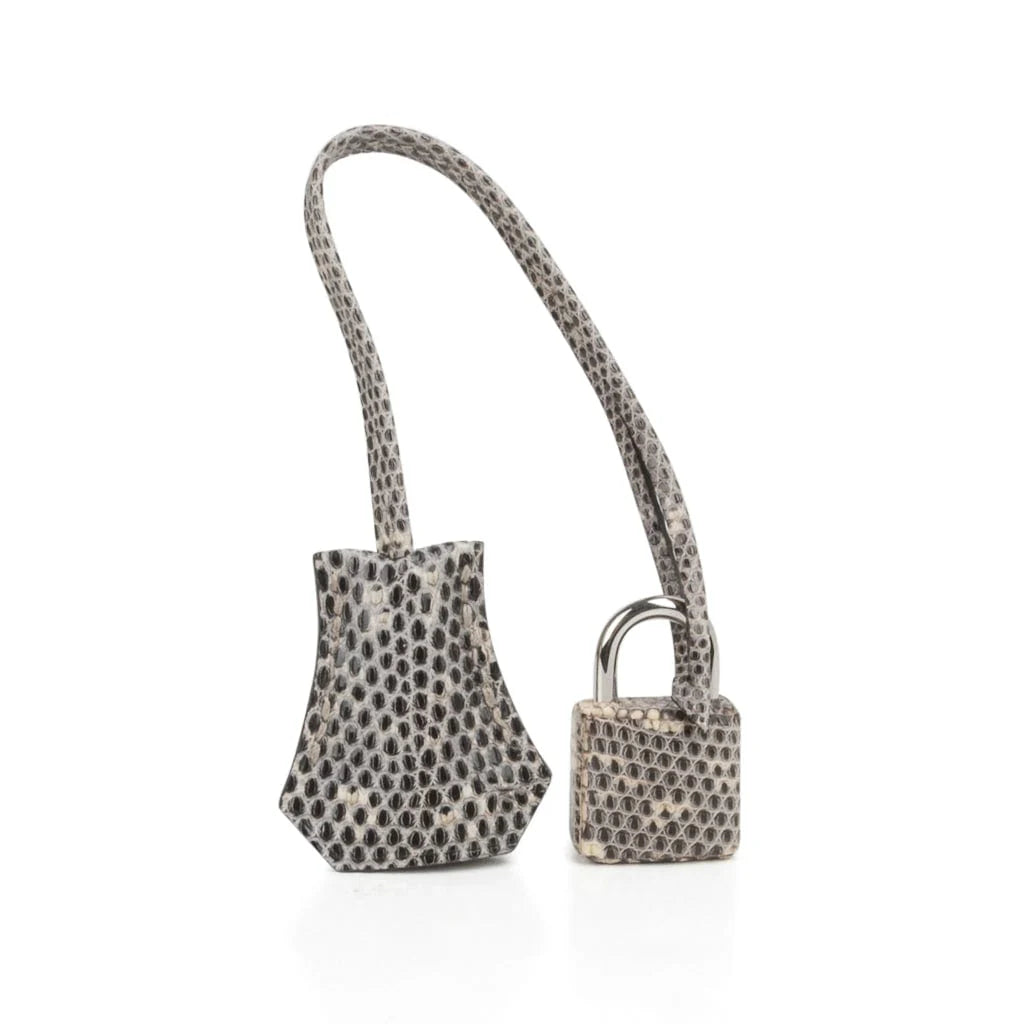 Birkin 25 Bag Ombre Lizard Palladium Hardware Holy Grail Bag