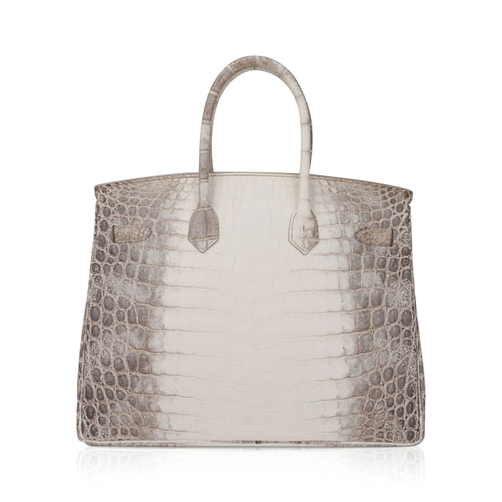 Birkin 35 Diamond Blanc Himalaya Matte Crocodile Limited Edition Bag