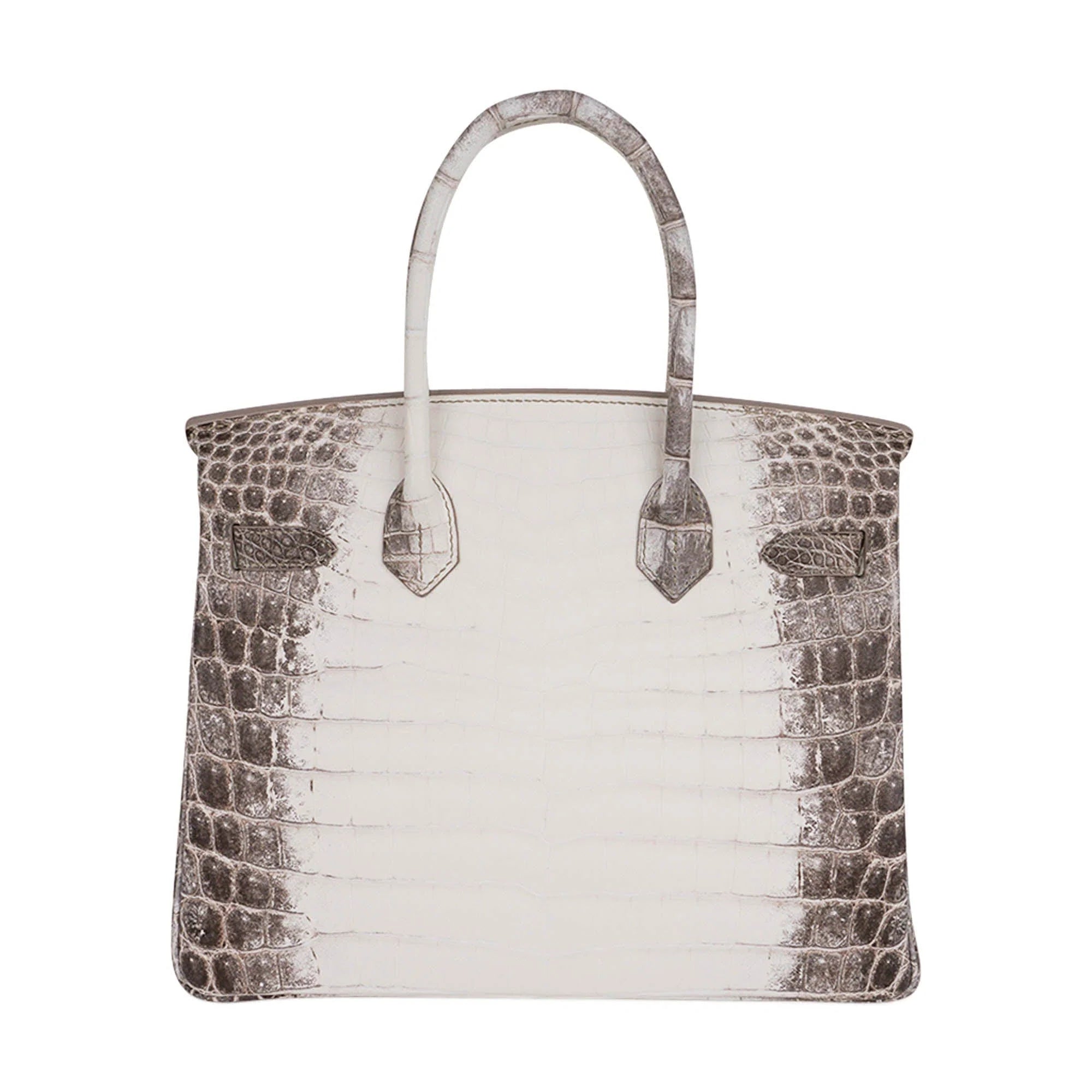 Birkin 30 Bag Diamond Himalaya Blanc Matte Niloticus Crocodile with 18k White Gold Hardware