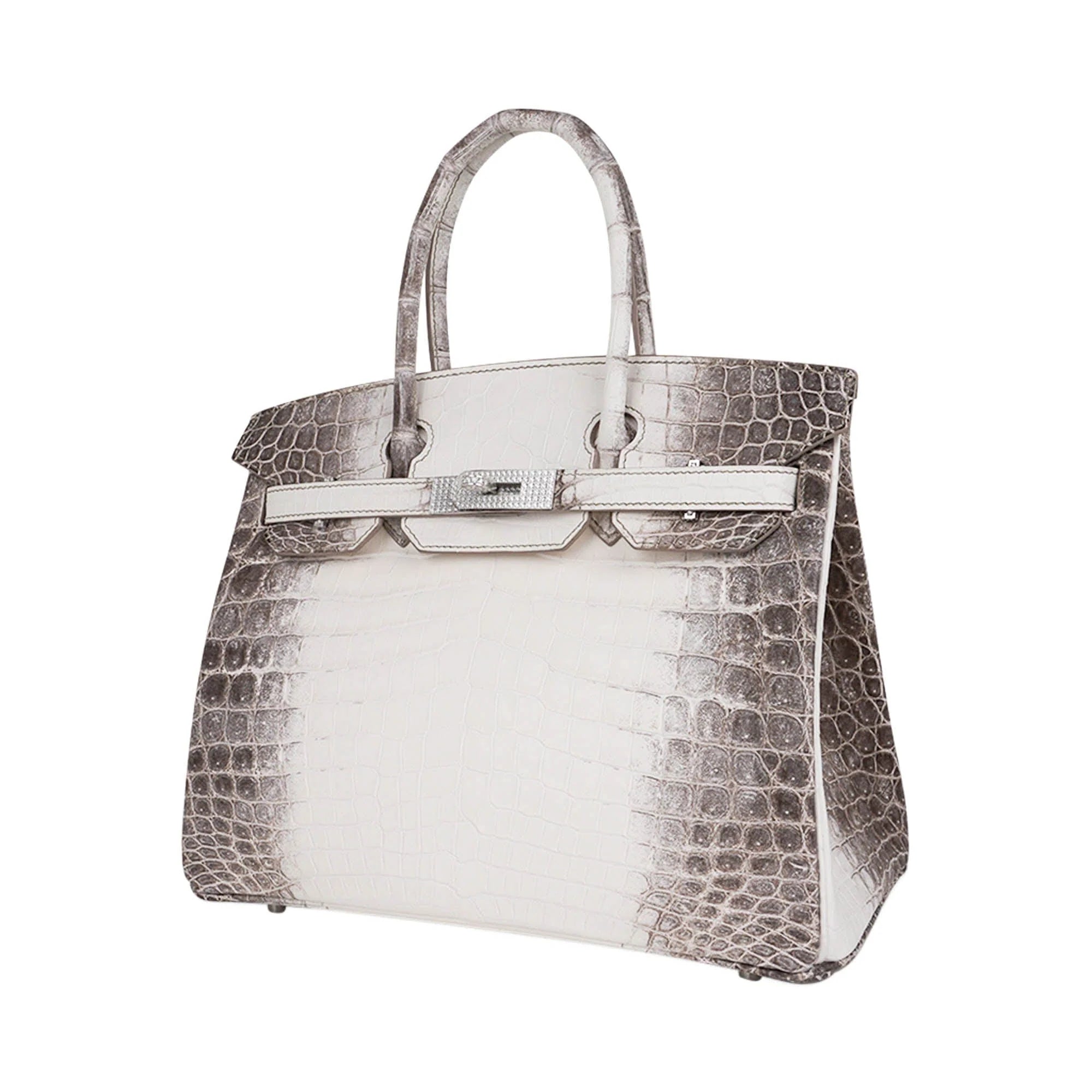 Birkin 30 Bag Diamond Himalaya Blanc Matte Niloticus Crocodile with 18k White Gold Hardware